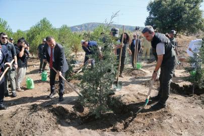 Muğla'da 15 Temmuz şehitleri anısına fidan dikildi