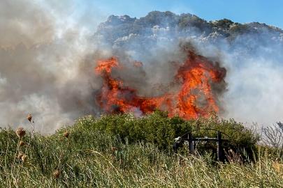 Muğla'da maki yangını; 2 dönüm alan zarar gördü