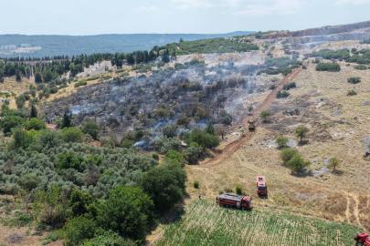 Muğla'da maki yangını; alevlerden kaçan kaplumbağa taşların arasına sığındı