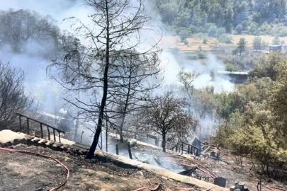 Muğla'da orman yangını (2)