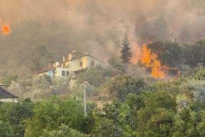 Muğla'da orman yangını (3)