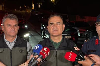 Muğla'da orman yangını (3)