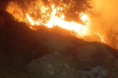 Muğla’da orman yangını