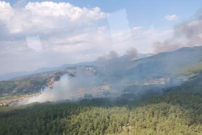 Muğla'da tarım arazisinde çıkan yangın ormana sıçradı