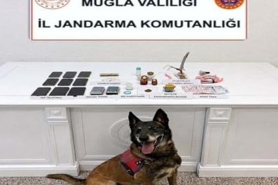 Muğla'da uyuşturucu operasyonlarında 5 tutuklama