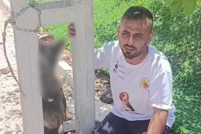 Sahipli köpeği zehirleyip direğe astılar