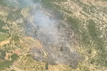 Bursa ve İzmir’de 3 yangın kontrol altında