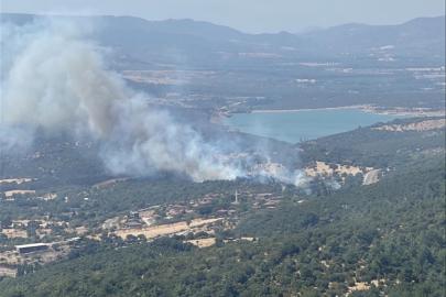 Çanakkale'de tarım arazisi ve merada yangın