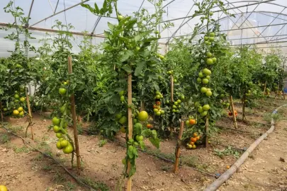 Eskişehir’de Çiftçi Destekleme ve Eğitim Merkezi kuruluyor