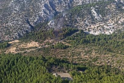 Antalya'da orman yangını (2)