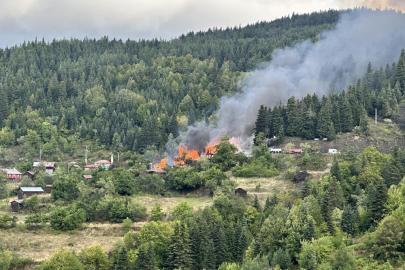 Kastamonu'da köy yangını: 10 ev küle döndü