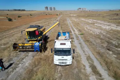 Kayseri Talas'ta tarımda öncü adım