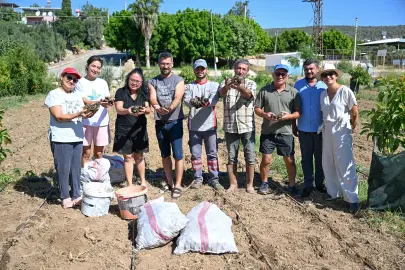 Mersin'de enginar üretimini yaygınlaştırıyor